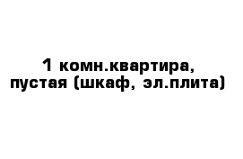 1-комн.квартира, пустая (шкаф, эл.плита)